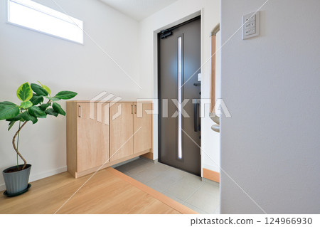Residential image: Newly built house, entrance with potted plants 124966930