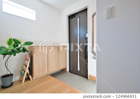 Residential image: Newly built house, entrance with potted plants Residential image: Newly built house, entrance with potted plants 124966931