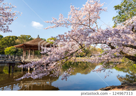 櫻花盛開與浮見堂 櫻花盛開與浮見堂 124967313