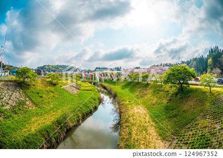 Cherry blossoms and carp streamers at Semata 124967352