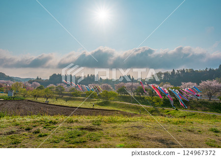 瀨馬的櫻花樹和鯉魚旗 瀨馬的櫻花樹和鯉魚旗 124967372