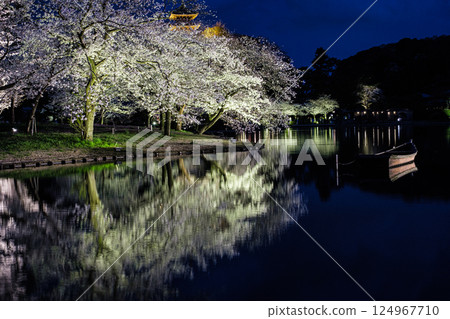 Cherry blossoms at night floating on the large pond at Sankeien Garden in Yokohama, Kanagawa Prefecture Cherry blossoms at night floating on the large pond at Sankeien Garden in Yokohama, Kanagawa Prefecture 124967710