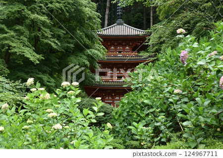 Gansenji Temple: Hydrangeas and Three-story Pagoda [Important Cultural Property] 124967711