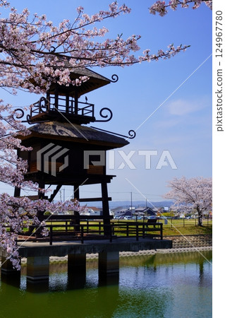 Yayoi ruins in Nara: Towers and cherry blossom trees in full bloom at Karako-Kagi ruins Yayoi ruins in Nara: Towers and cherry blossom trees in full bloom at Karako-Kagi ruins 124967780