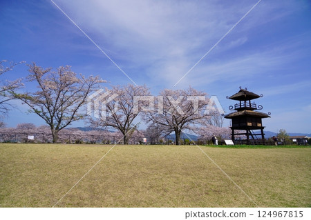 Yayoi ruins in Nara: Towers and cherry blossom trees in full bloom at Karako-Kagi ruins Yayoi ruins in Nara: Towers and cherry blossom trees in full bloom at Karako-Kagi ruins 124967815