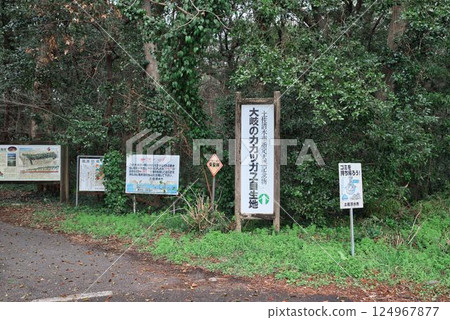 The road leading to Oki Coast The road leading to Oki Coast 124967877