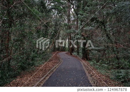 The road leading to Oki Coast 124967878