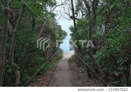 The road leading to Oki Coast The road leading to Oki Coast 124967882
