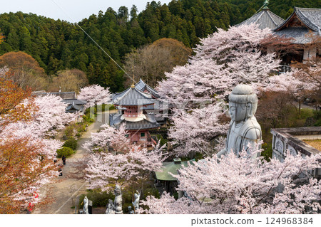 小坂寺的大型寺廟建築群、大佛像和櫻花 小坂寺的大型寺廟建築群、大佛像和櫻花 124968384