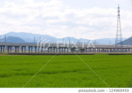 油菜花田正準備迎接春天 124968450