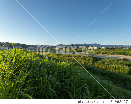 大和川沿岸新綠盎然的風景 大和川沿岸新綠盎然的風景 124968457