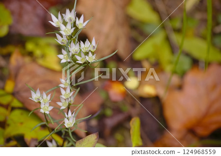 裝配 裝配 124968559