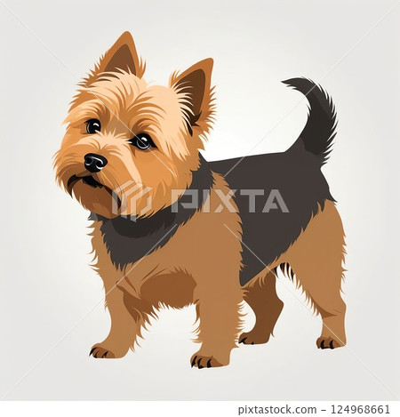 The Norwich Terrier is attractive with its upright ears and adorable expression. 124968661