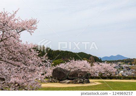 石階段古墓的櫻花 124969257