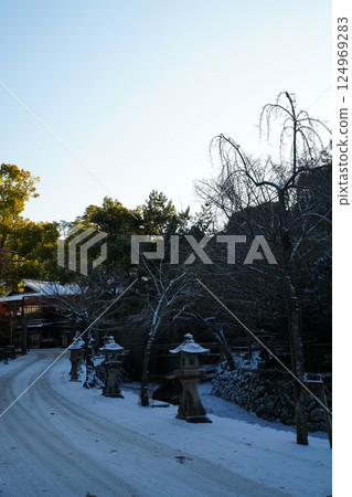 Snow-covered roadside trees in Miyajima Snow-covered roadside trees in Miyajima 124969283