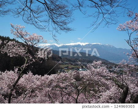 Takato cherry blossoms and the Central Alps 004 Takato cherry blossoms and the Central Alps 004 124969303