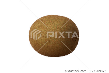 Kiwi fruit with sweet and refreshing taste, 3d Kiwi fruit with sweet and refreshing taste, 3d 124969376