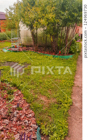 Vertical view of a country garden with lawn and sawdust to protect and drain the flower bed 124969730