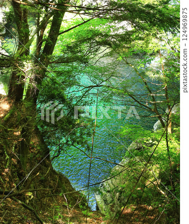 奈良縣新綠地御手洗溪谷 124969875