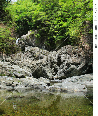 Mitarai Valley, New Greenery, Nara Prefecture 124969887