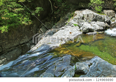 Mitarai Valley, New Greenery, Nara Prefecture 124969890