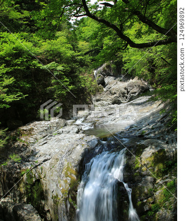 Mitarai Valley, New Greenery, Nara Prefecture 124969892