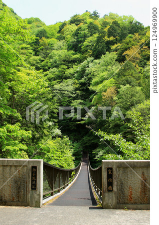 Mitarai Valley, New Greenery, Nara Prefecture 124969900