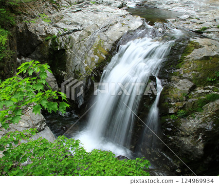 Mitarai Valley, New Greenery, Nara Prefecture Mitarai Valley, New Greenery, Nara Prefecture 124969934