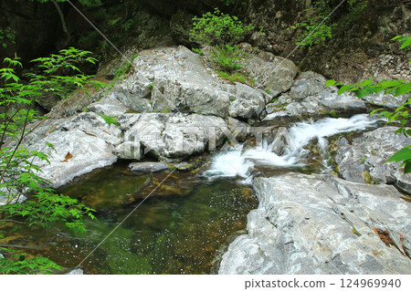 Mitarai Valley, New Greenery, Nara Prefecture Mitarai Valley, New Greenery, Nara Prefecture 124969940