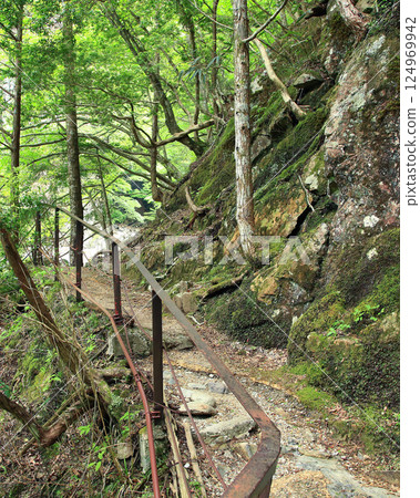 奈良縣新綠地御手洗溪谷 奈良縣新綠地御手洗溪谷 124969942