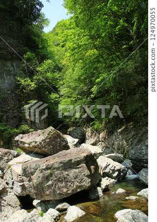 Mitarai Valley, New Greenery, Nara Prefecture 124970055