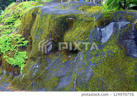 Takachiho Gorge, Fresh greenery, Kyushu Takachiho Gorge, Fresh greenery, Kyushu 124970738