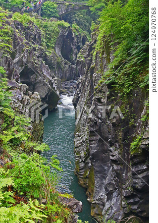 高千穂峽,新綠,九州 高千穂峽,新綠,九州 124970768