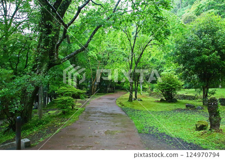 高千穂峽,新綠,九州 高千穂峽,新綠,九州 124970794