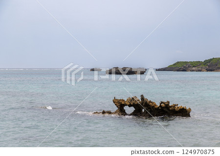 View of the sea and castle from the island 124970875