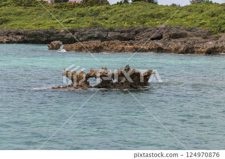 View of the sea and castle from the island 124970876