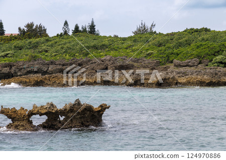 View of the sea and castle from the island 124970886