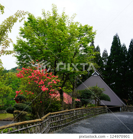 Takachiho Gorge, Fresh greenery, Kyushu Takachiho Gorge, Fresh greenery, Kyushu 124970901