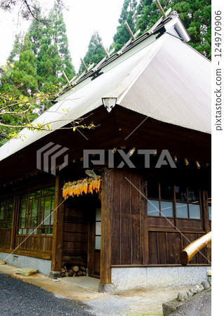 高千穂峽,新綠,九州 高千穂峽,新綠,九州 124970906