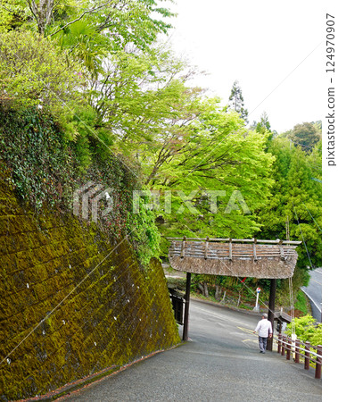 高千穂峽,新綠,九州 高千穂峽,新綠,九州 124970907