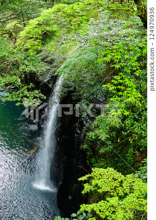 Takachiho Gorge, Fresh greenery, Kyushu Takachiho Gorge, Fresh greenery, Kyushu 124970936