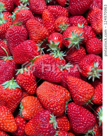 很多草莓 2 124970963