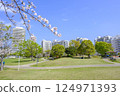 Cherry blossoms in full bloom at Meikai no Oka Park in Urayasu City 124971393