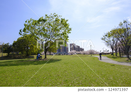 浦安市明海之丘公園櫻花盛開 浦安市明海之丘公園櫻花盛開 124971397