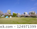 Cherry blossoms in full bloom at Meikai no Oka Park in Urayasu City 124971399