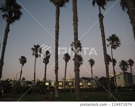 California West Coast Beach Santa Monica 124971874