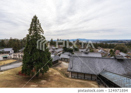Nara Panoramic View 124971894