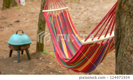 A Colorful Striped Hammock Comfortably Suspended Between Two Tall Trees in a Serene Forest Setting A Colorful Striped Hammock Comfortably Suspended Between Two Tall Trees in a Serene Forest Setting 124971934