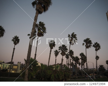 California West Coast Beach Santa Monica 124971994
