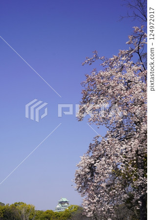 大阪城與藍天白雲下盛開的秋葉 124972017